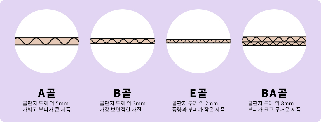 골형태